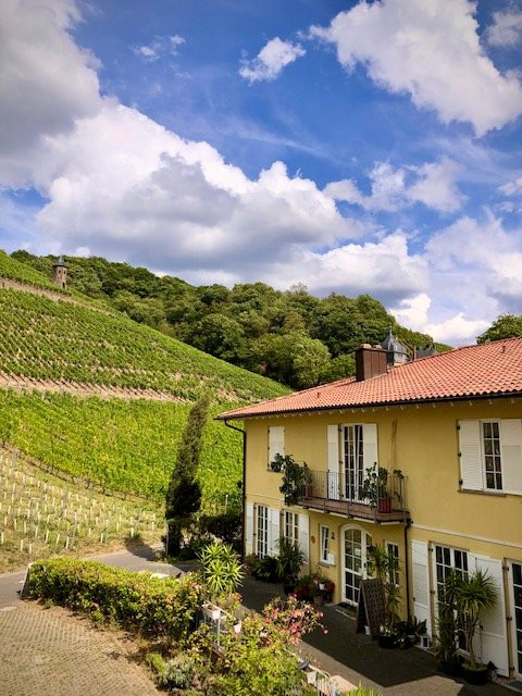 Weingut und Hotel Haus am Drachenloch主图