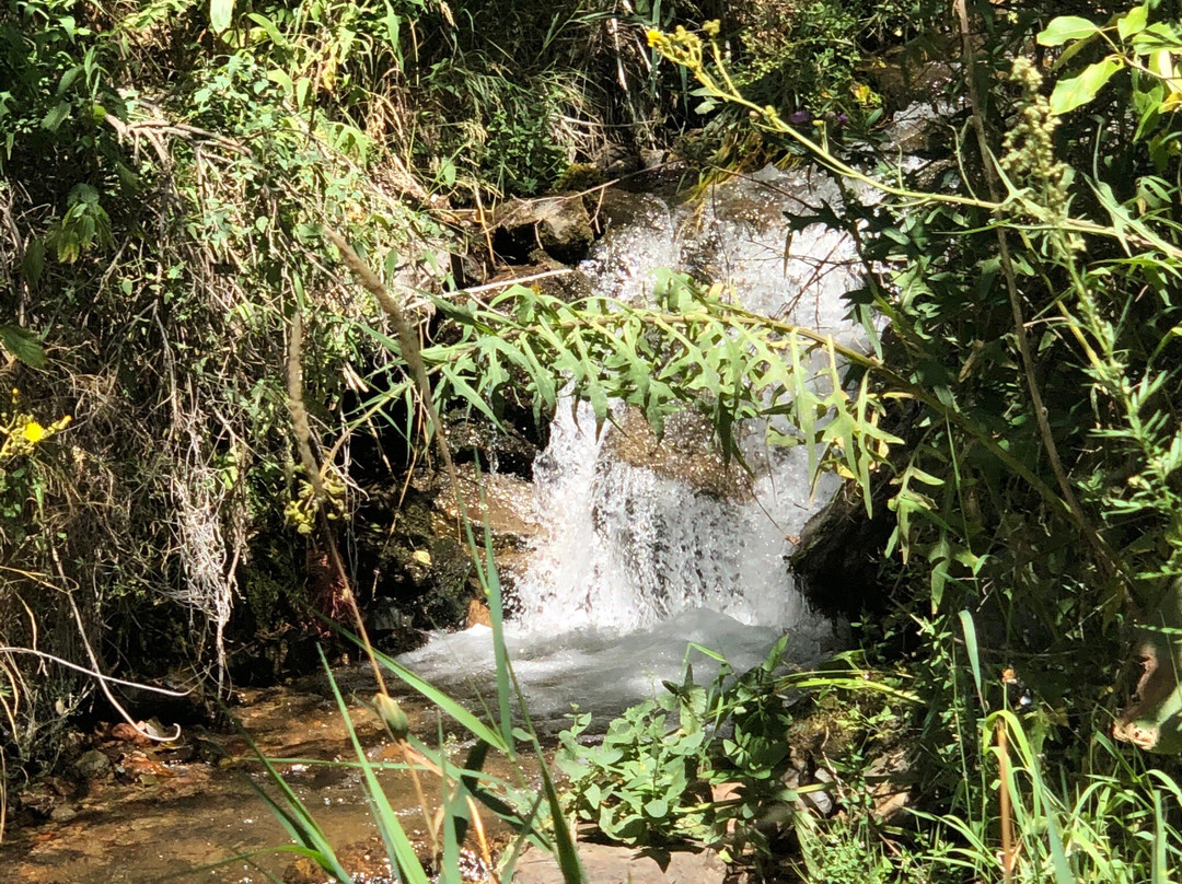 Turgenskiy Medvezhiy Waterfall-Almaty Region必去景点