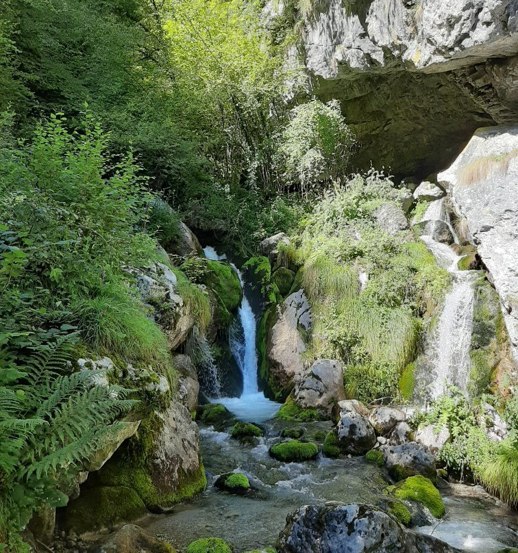 Area Natura Rio Bianco景点图片