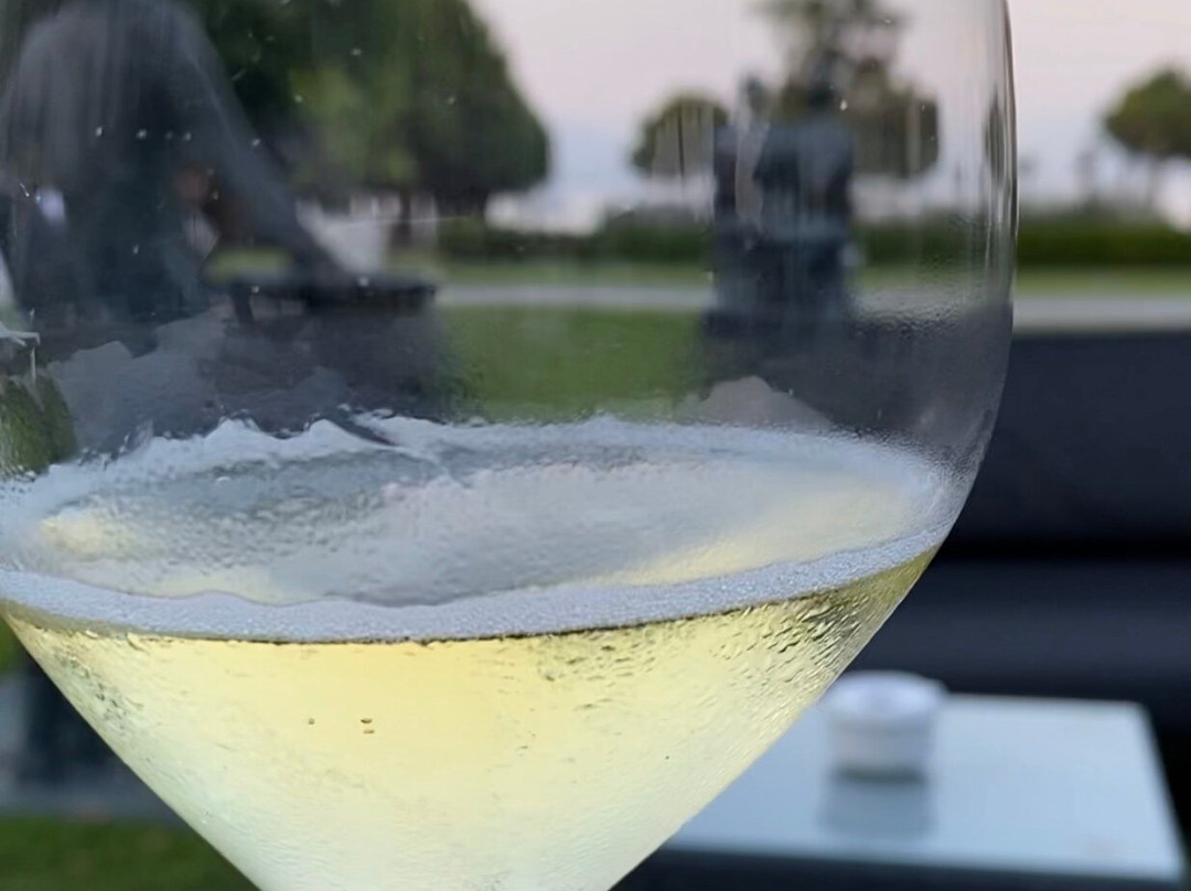 Padenghe sul Garda餐馆和美食-Ristorante Il Rivale al Lago