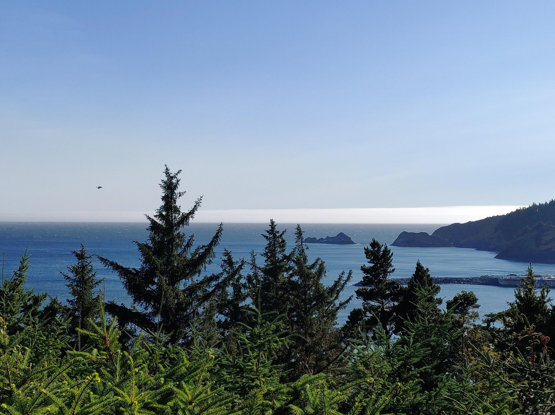 WildSpring Guest Habitat主图