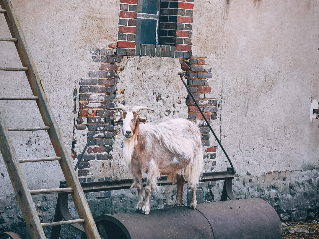 La Ferme du Château-Saint-Fargeau必去景点