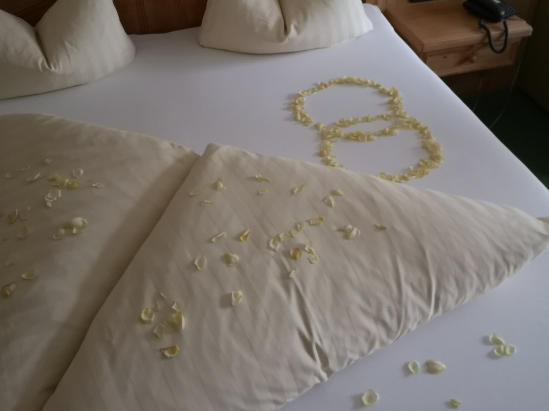 Fischerwirt am Achensee主图