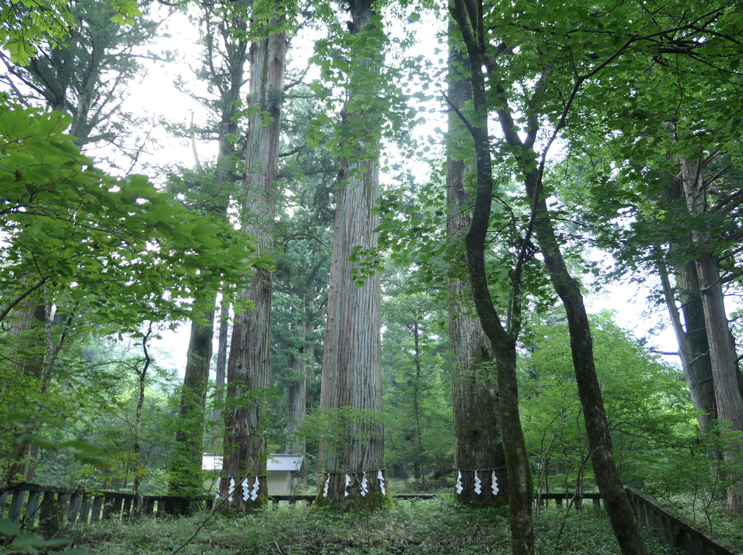 Takinoo Shrine-日光市必去景点