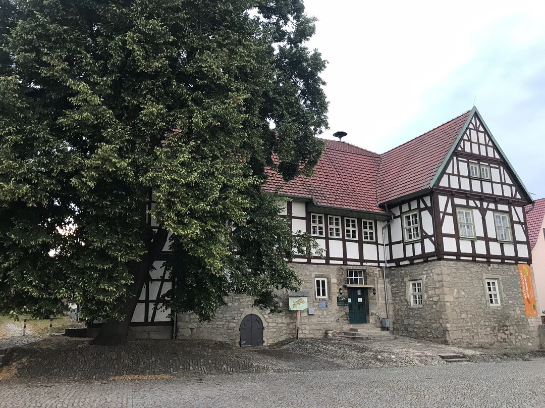 Nationalpark Hainich-Bad Langensalza必去景点