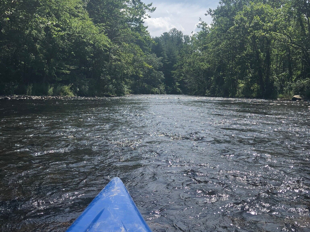 Main Stream Canoes & Kayaks景点图片