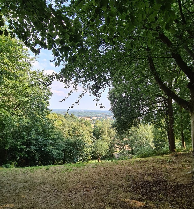 The Deepdene Trail景点图片