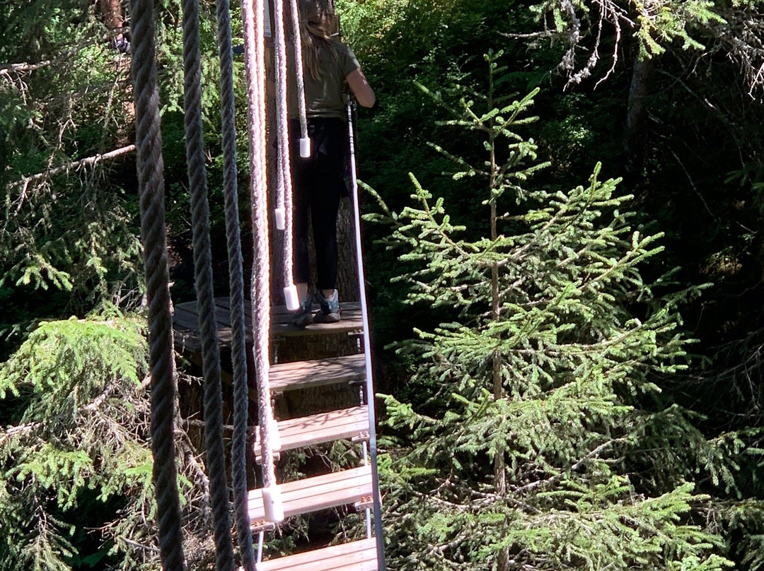 Escaladventure du Nant Rouge