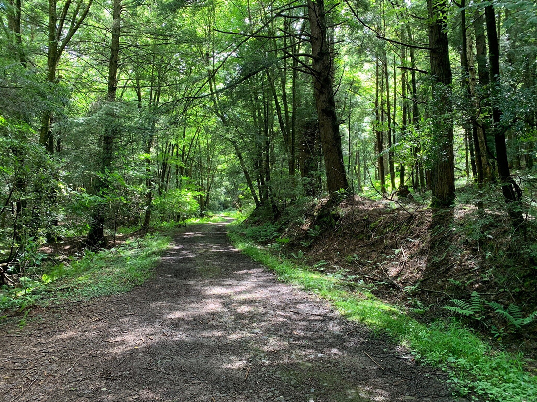 New Germany State Park景点图片