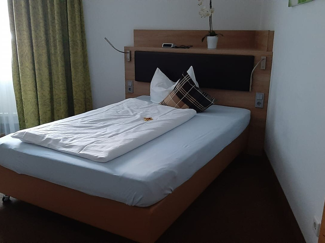 Hotel-Gasthof zur Sonne主图