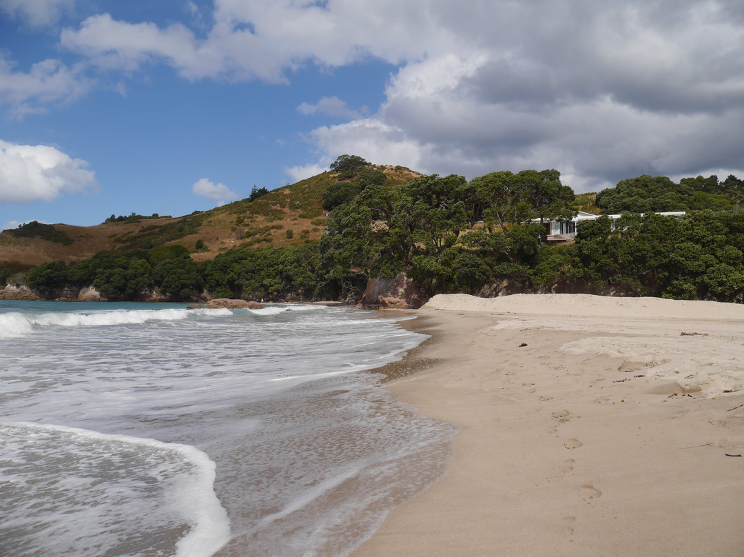 Hahei Beach Walk-哈海必去景点