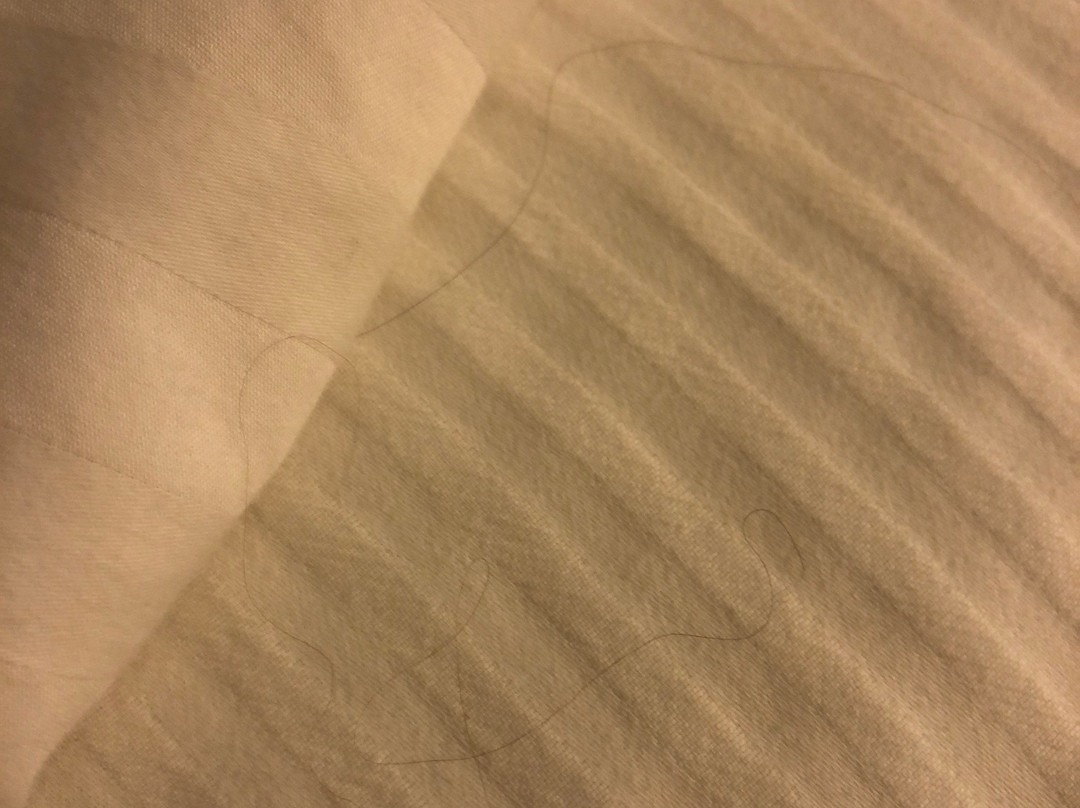 贝斯特韦斯特里奇菲尔德酒店主图