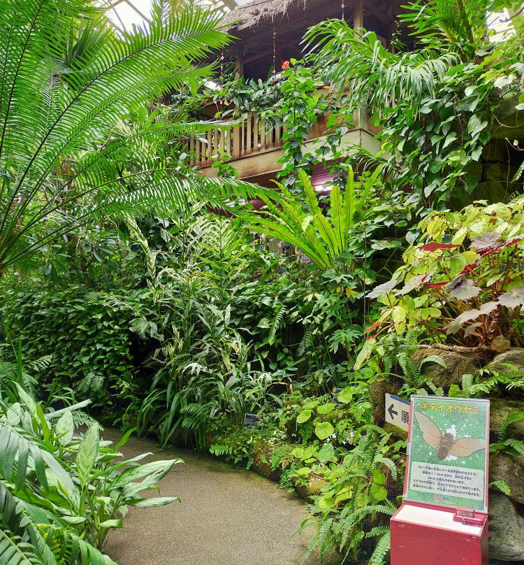 Tropical Environment Greenhouse Dome景点图片