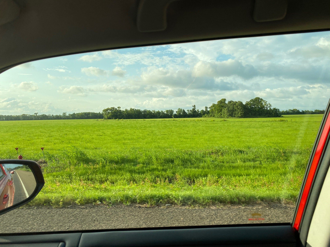 Big Thicket National Preserve-Kountze必去景点