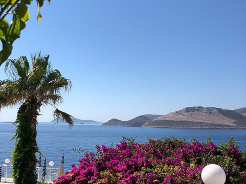 卡查特酒店主图