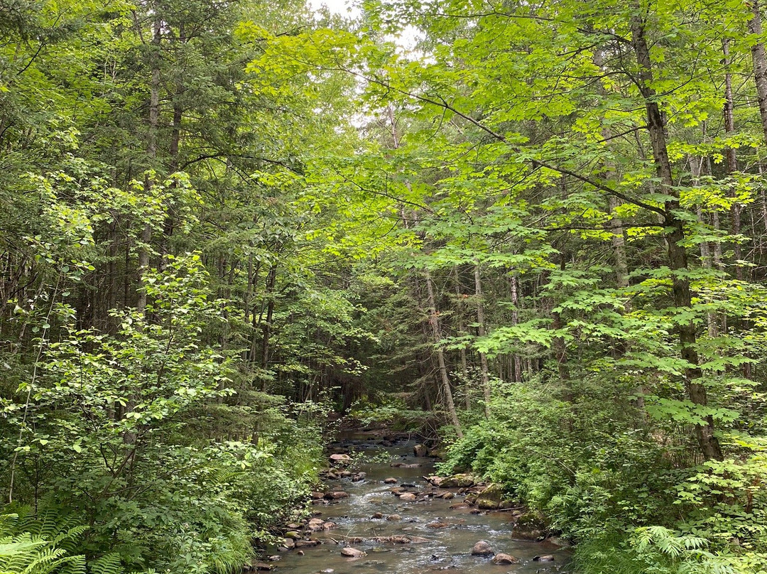 Parc régional de la Rivière Gentilly-Saint-Louis-de-Blandford必去景点