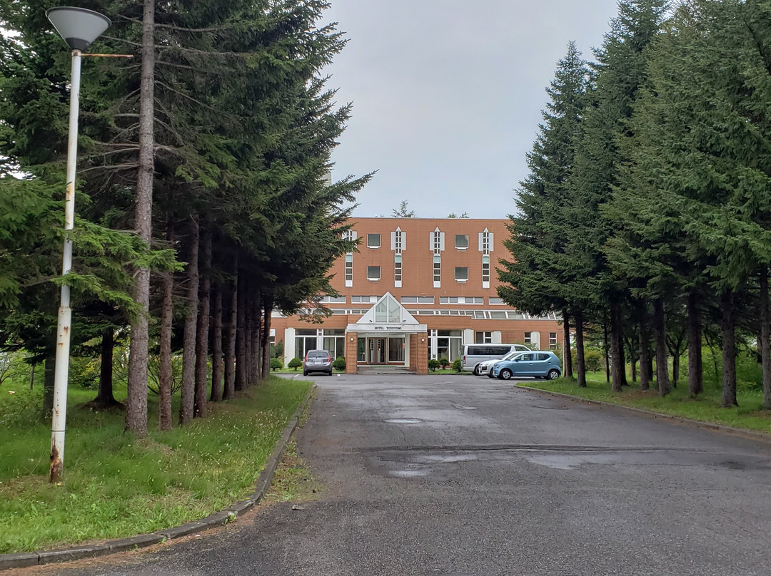 Hotel Toyotomi主图