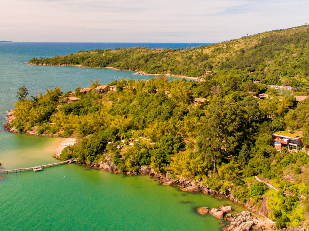 Awasi Santa Catrina主图