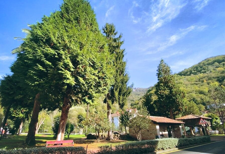 Oficina de turismo de Belmonte de Miranda景点图片