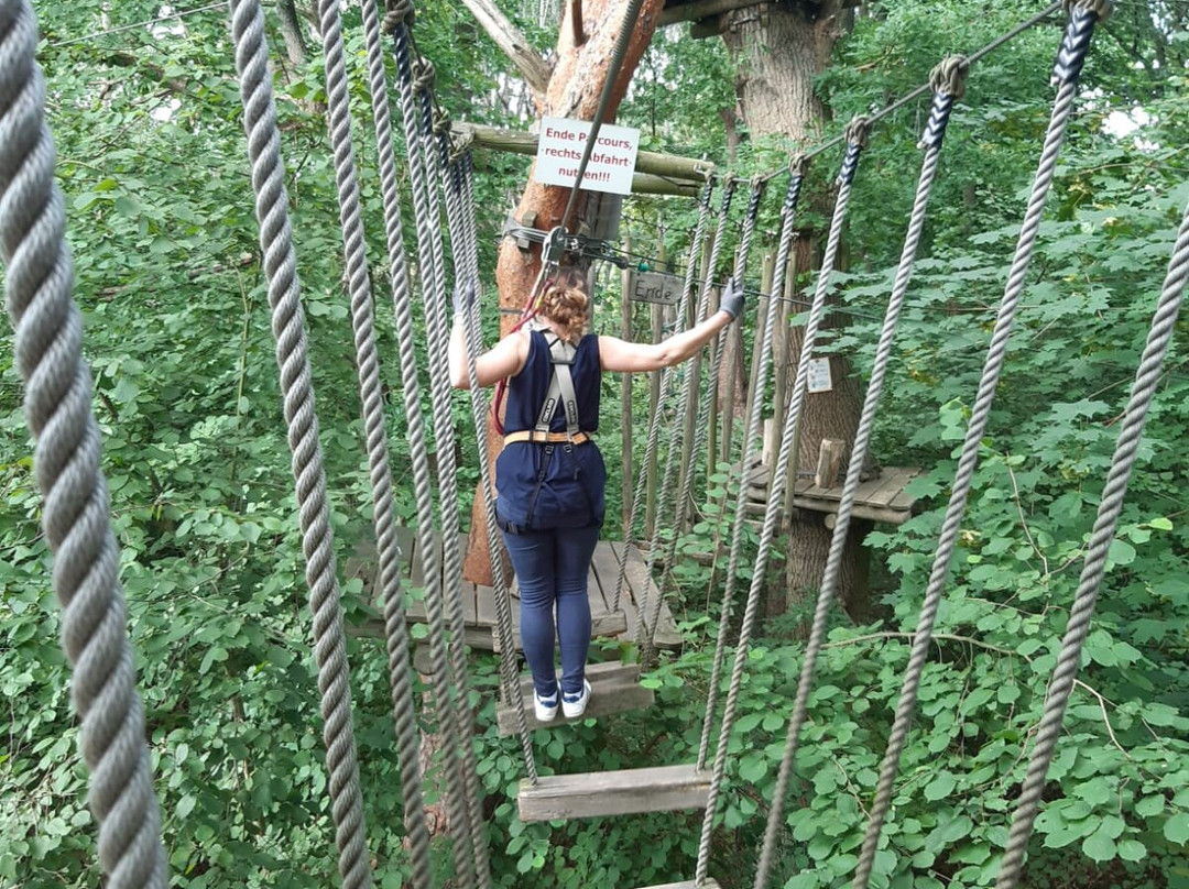 Kletterwald Müritz景点图片