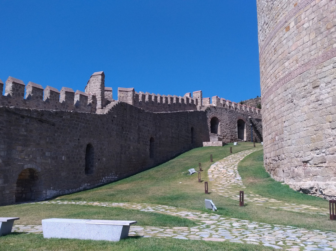 Kilitbahir Castle景点图片