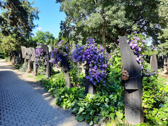 The Boat-Head Cemetery