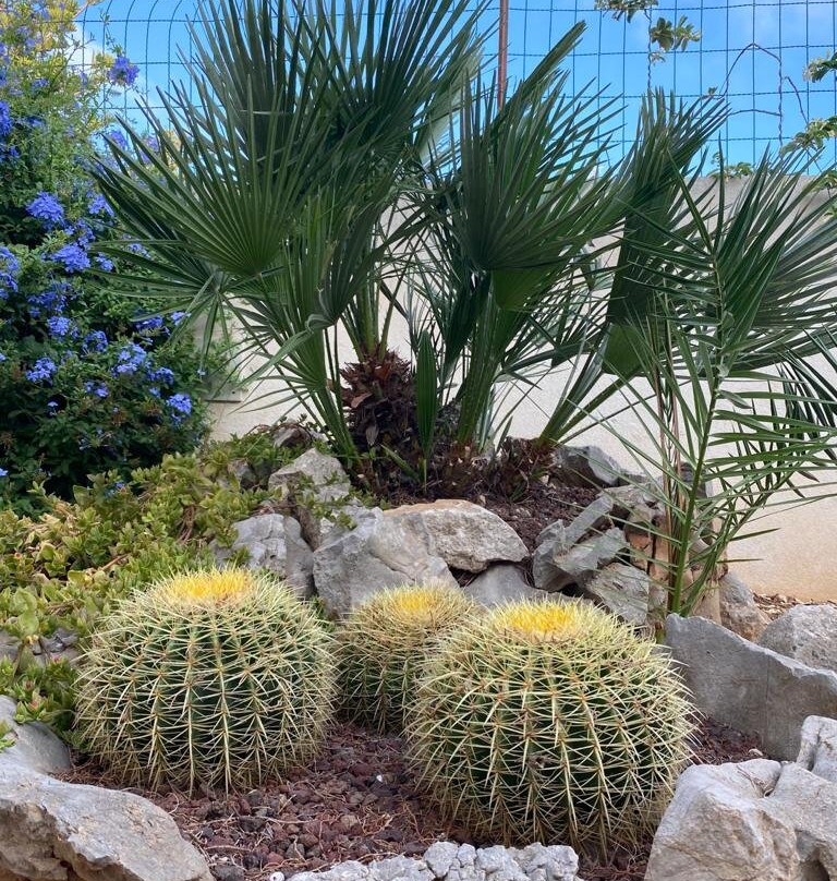 B&B "Perla del Sud"主图