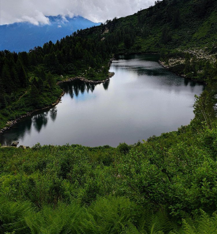 Lago di Vacarsa景点图片