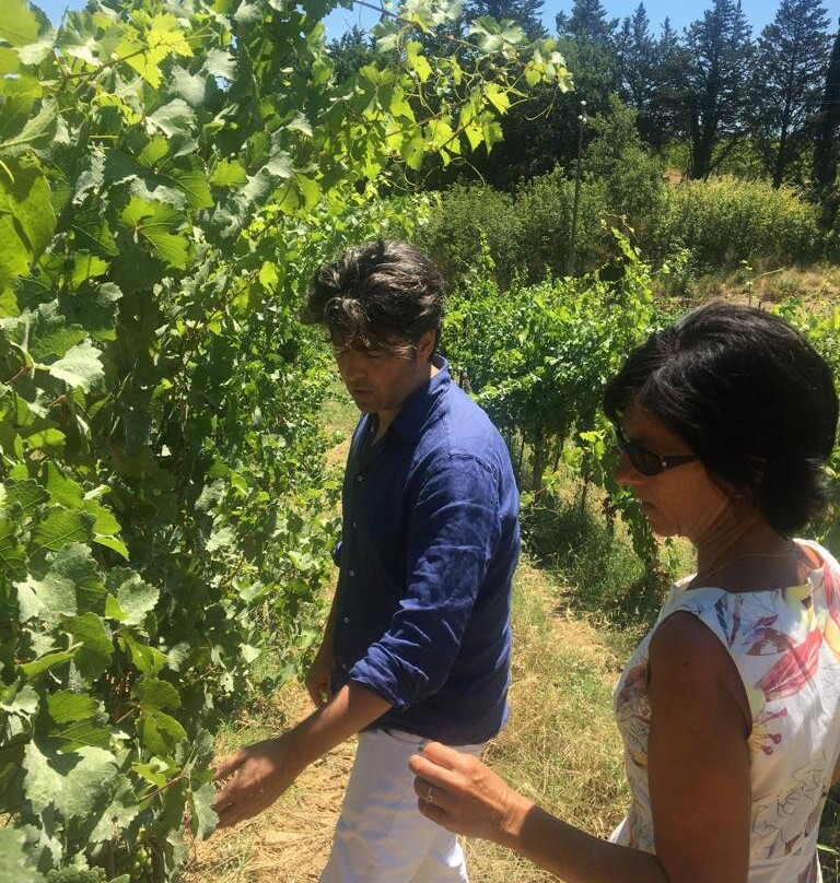 Cantinetta di Monteriggioni景点图片