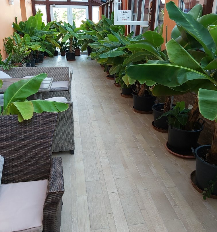 Bagolyvar Guesthouse主图