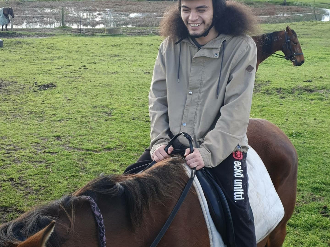 Waipu Horse Adventures-璜加雷必去景点