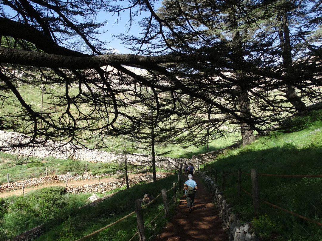 The Cedars of God-Bcharre必去景点