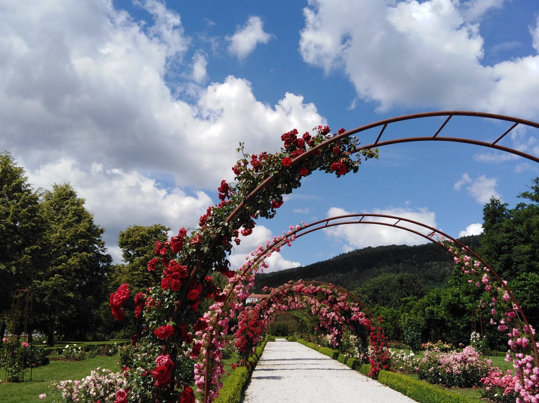 Botanical Garden Of University Of Maribor-马里博尔必去景点