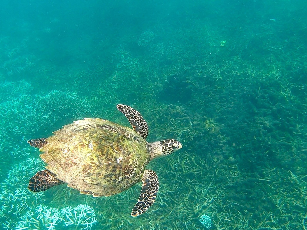 Trinco Water Sport Tours-Trincomalee必去景点