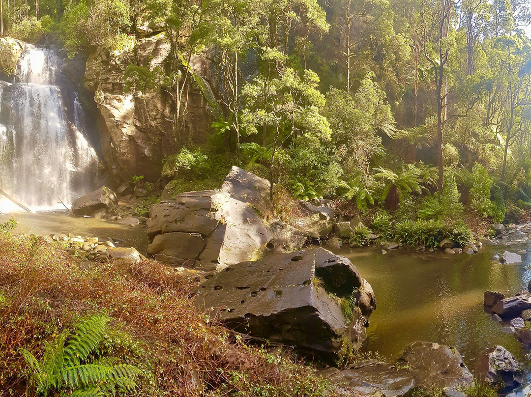Great Otway National Park景点图片
