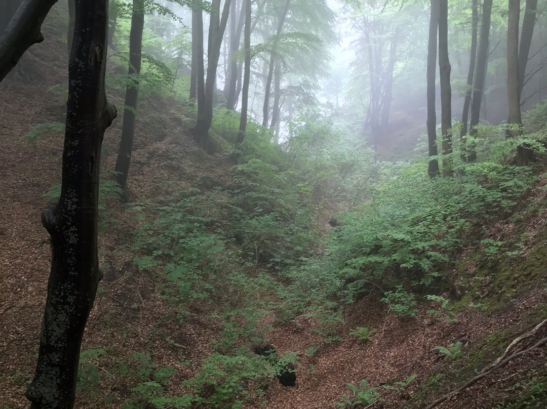 Lisi Jar景点图片