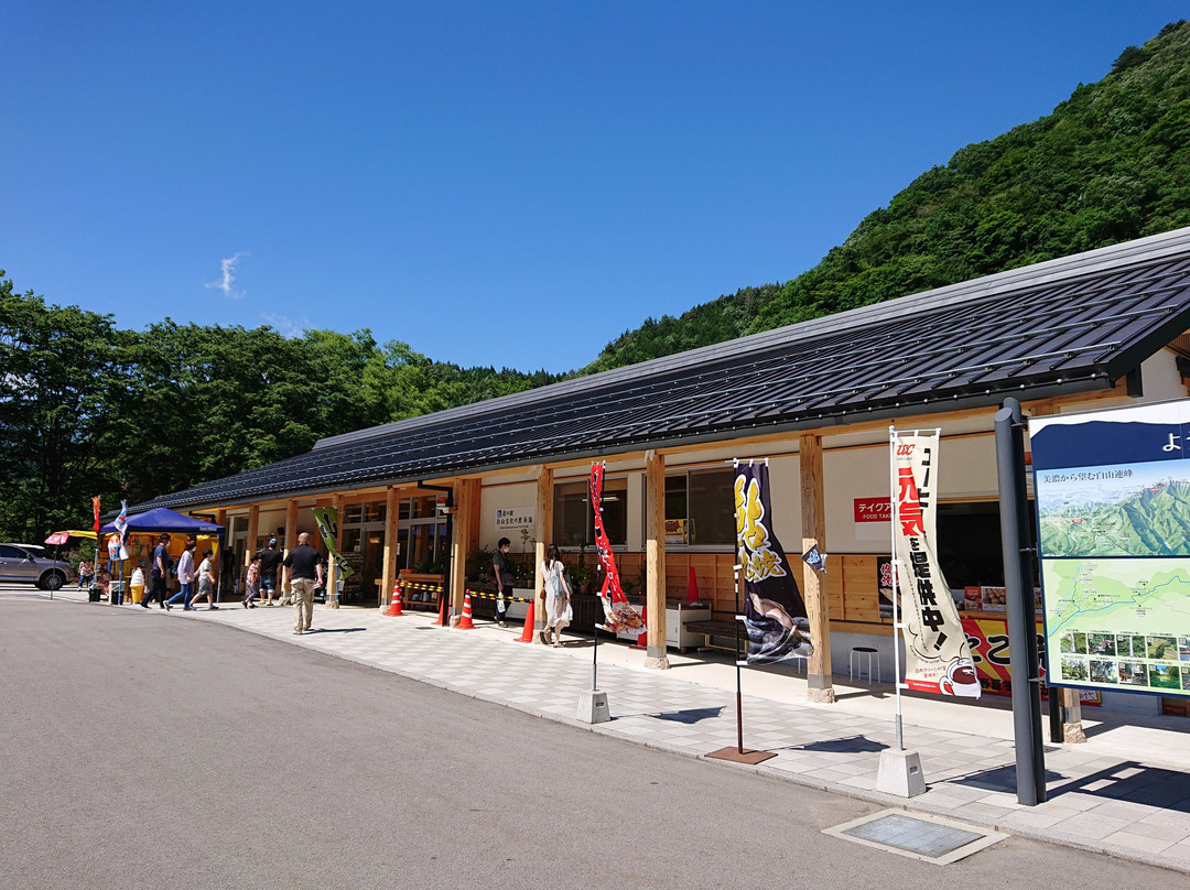 Seiryu Nagara River Ayu Park-郡上市必去景点