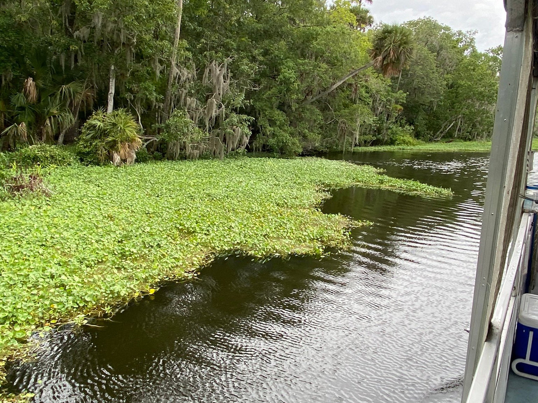 St. Johns River Tours, Inc. - Day Tours-Astor必去景点