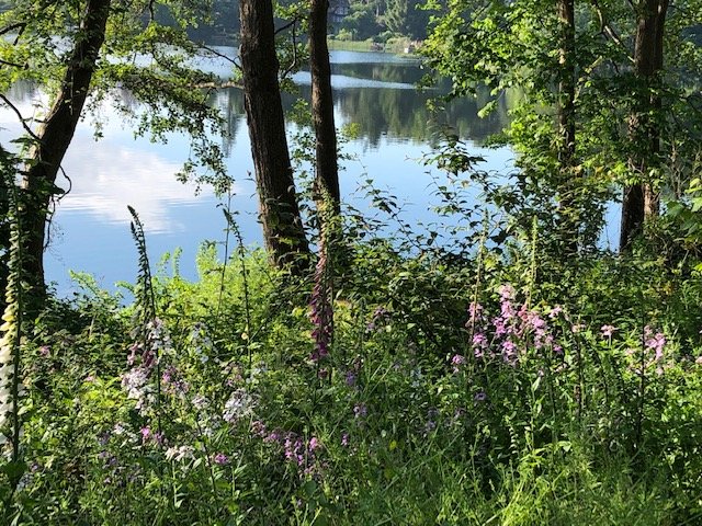 Lake House Plön-浴室