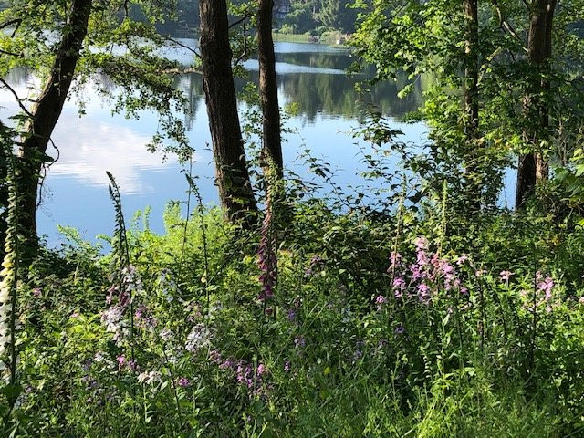 Lake House Plön主图