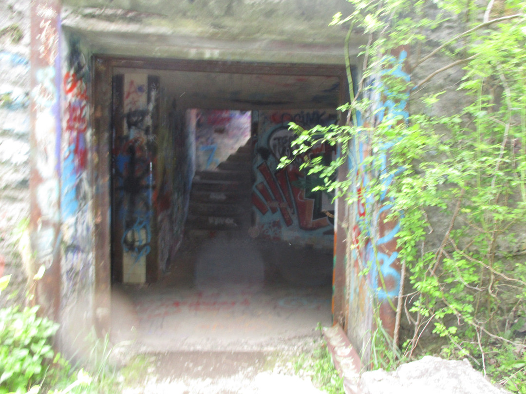 Fort Wetherill State Park-Jamestown必去景点