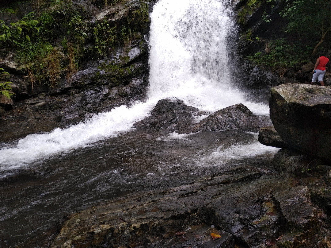 Udzungwa Mountains National Park旅游攻略图片