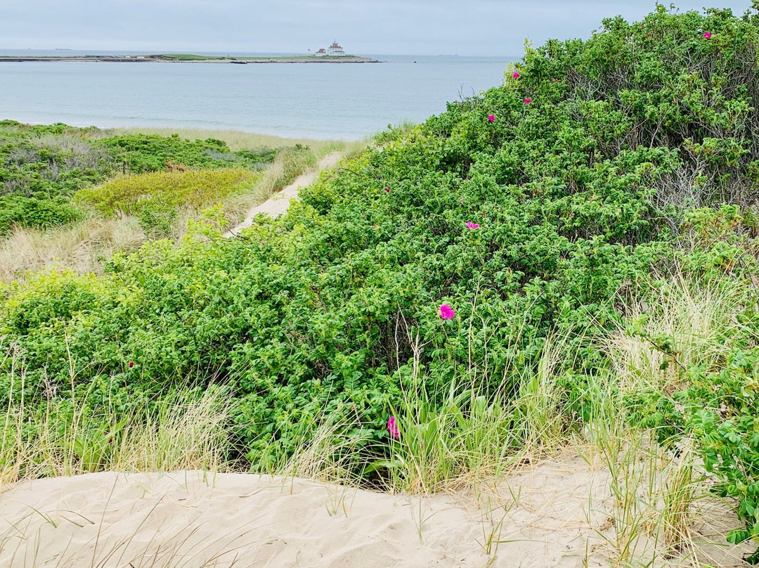 Napatree Point Conservation Area景点图片
