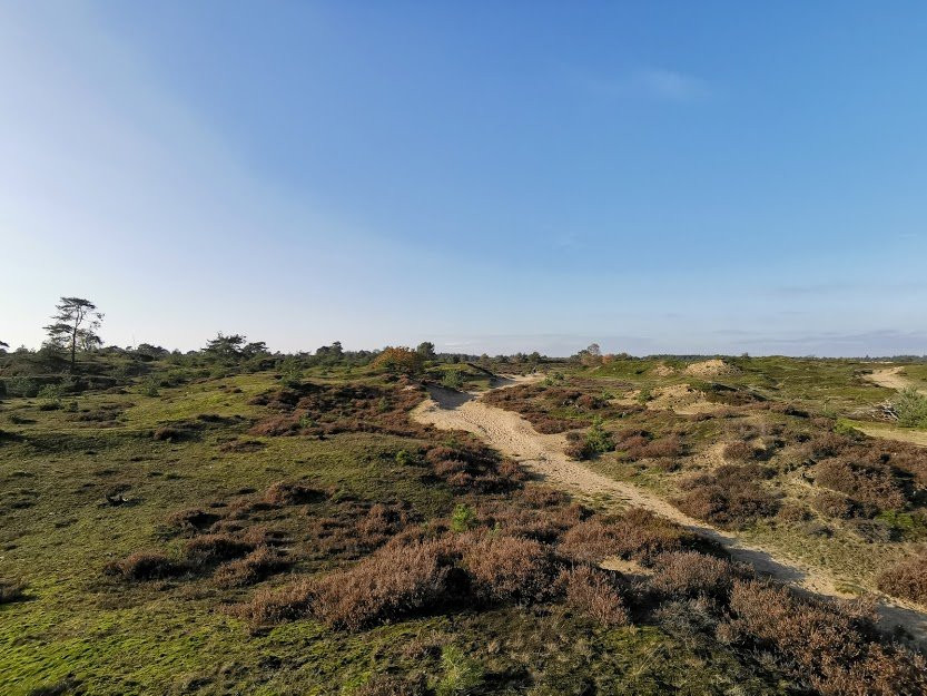 Nationaal Park Drents-Friese Wold-Appelscha必去景点