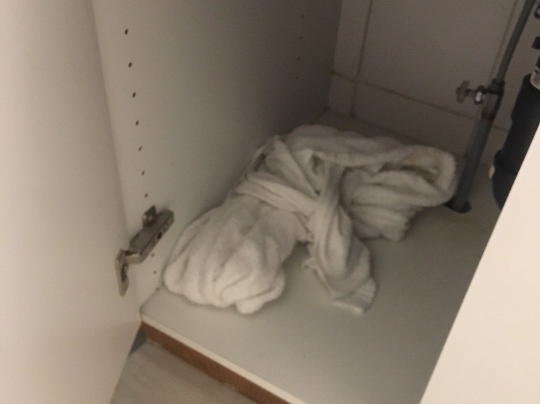 Best Continental Motel主图