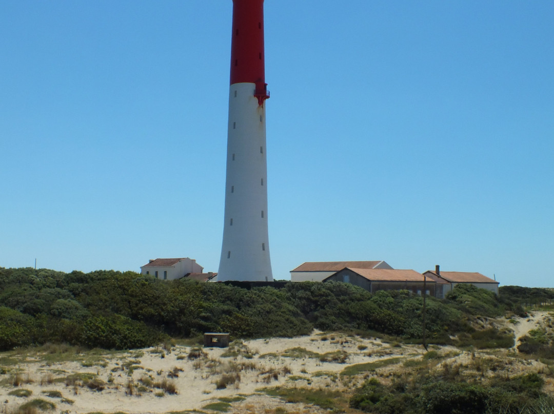 Phare de la Coubre景点图片