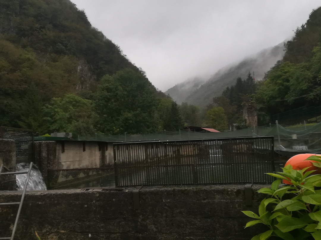 Agriturismo La Vecchia Chioderia主图