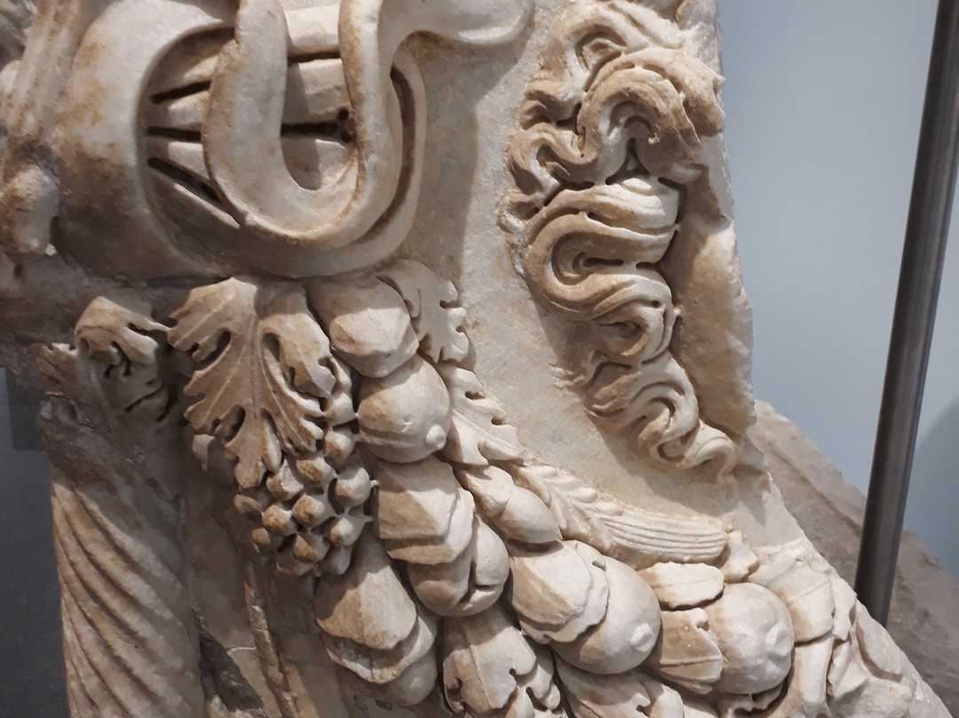 Afrodisias Museum景点图片