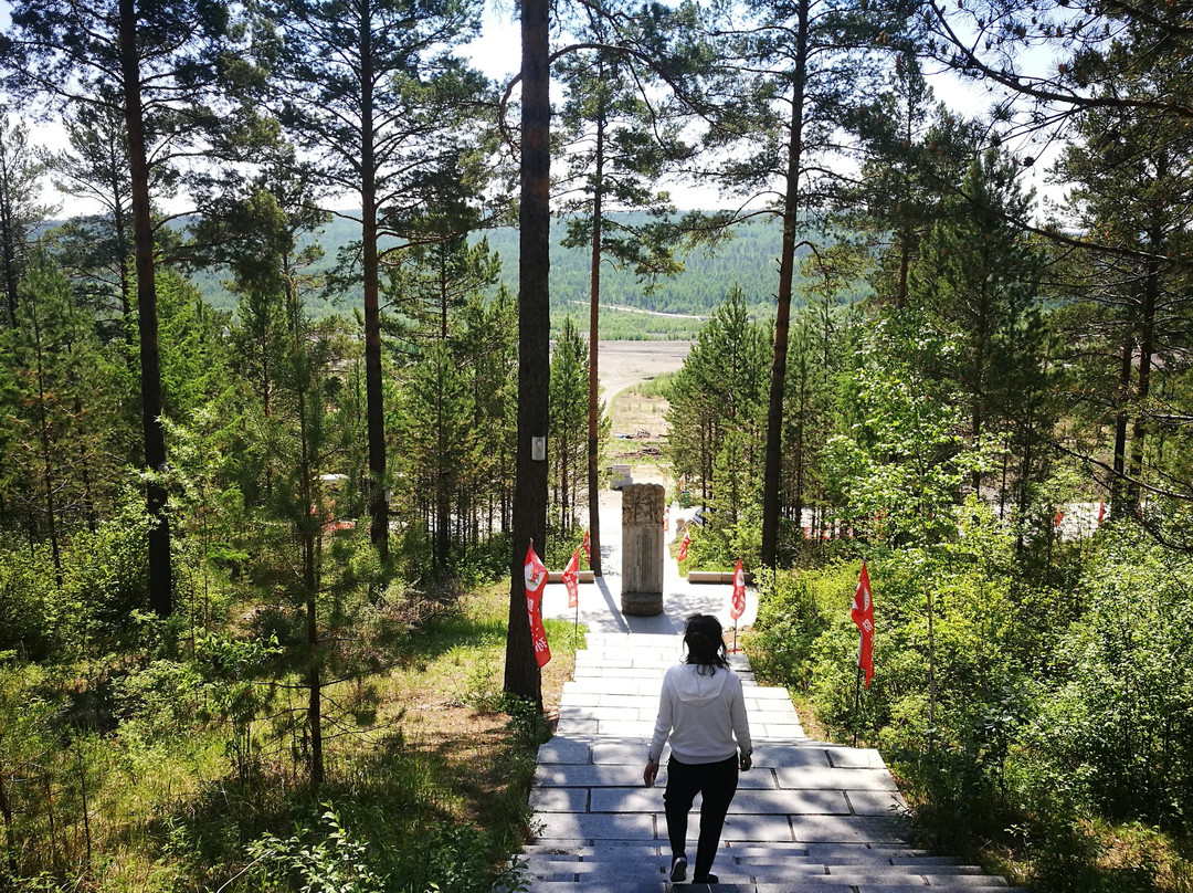 Private Tour Guide-漠河县必去景点