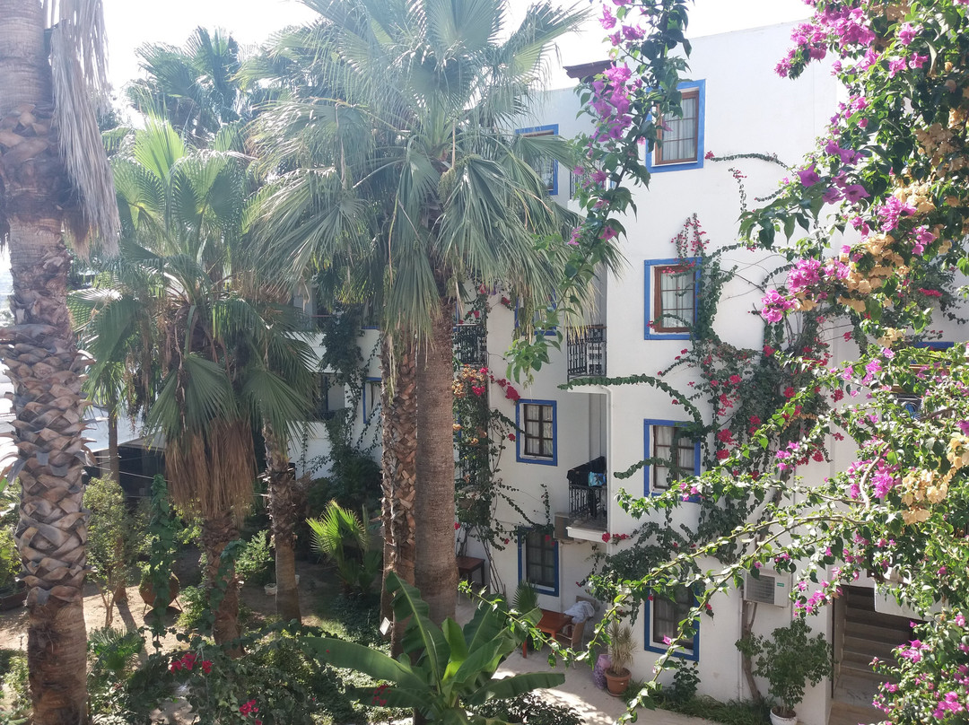 Sami Beach Hotel主图